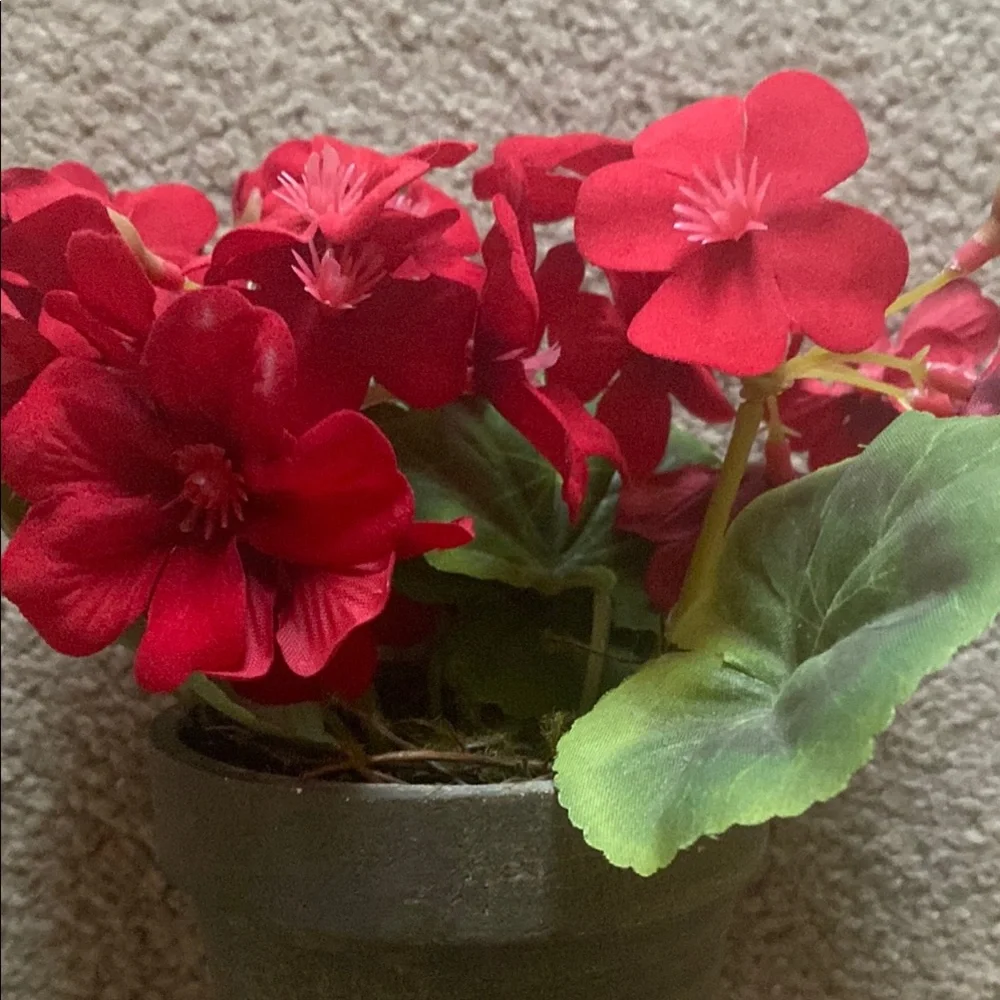 Elegant Red Floral Arrangement